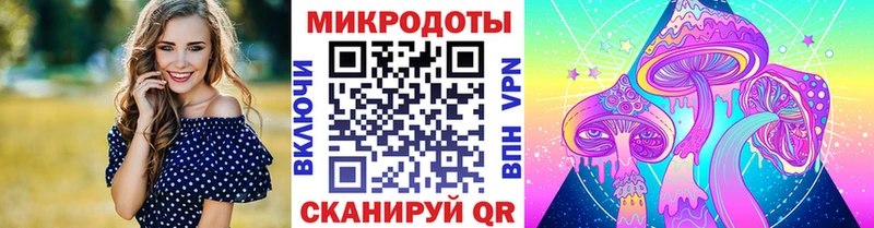 как найти наркотики Холмск Псилоцибиновые грибы ЛСД