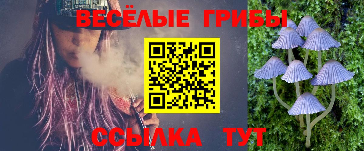 Холмск  Псилоцибиновые грибы мицелий  Вход с VPN 